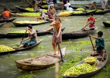 Barisal Backwater Tour