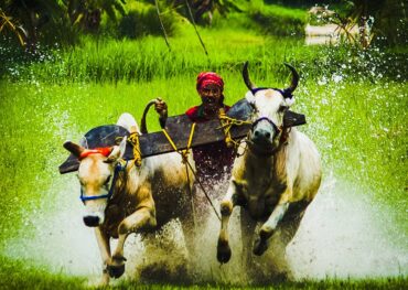 Best of Bangladesh