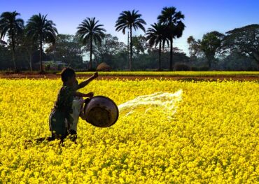 Discover Bangladesh